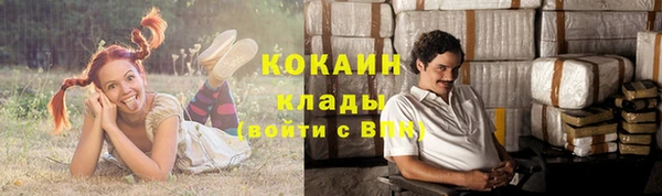 мяу мяу кристалл Корсаков