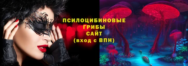 apvp Коряжма