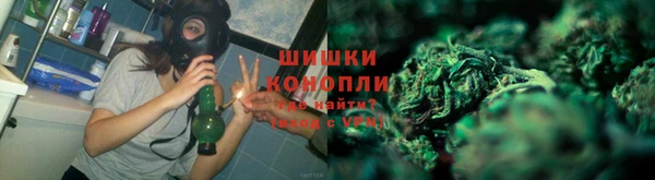 мяу мяу кристалл Корсаков
