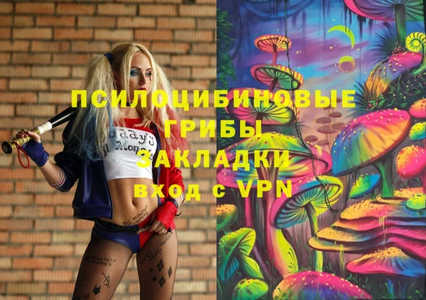 мяу мяу кристалл Корсаков