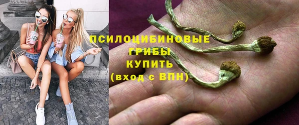 apvp Коряжма