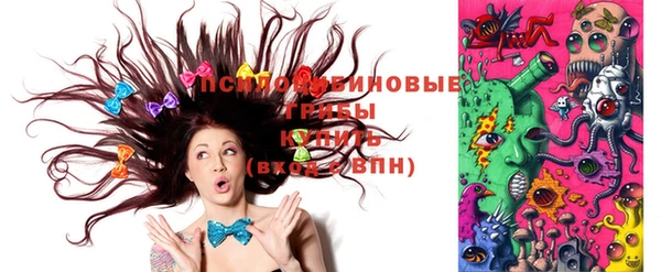 мяу мяу кристалл Корсаков