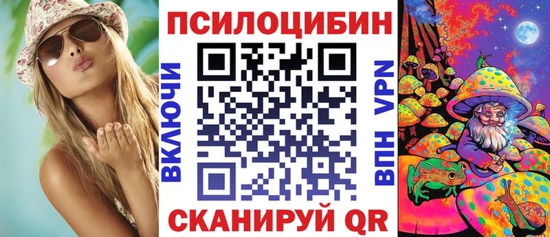 Галлюциногенные грибы Cubensis Купить Новоузенск